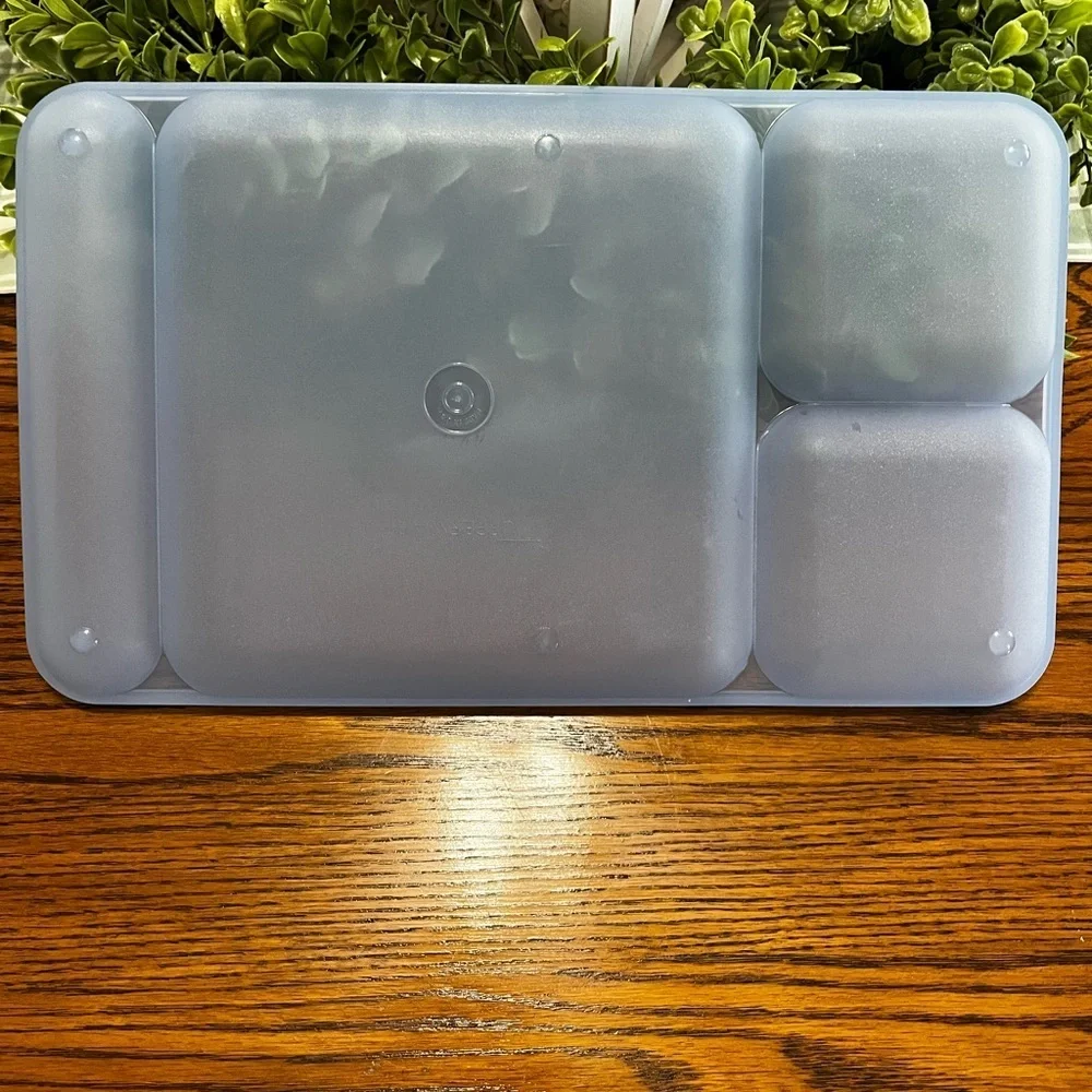 Tupperware Classic Divided Picnic Camping‎ Trays Set of 4 Multicolor #1535